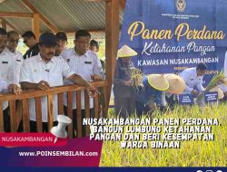 NUSAKAMBANGAN PANEN PERDANA,BANGUN LUMBUNG KETAHANAN PANGAN DAN BERI KESEMPATAN WARGA BINAAN