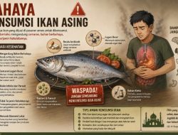 Konsumsi Ikan Asing yang Tidak Terawasi, Ahli Ingatkan Risiko Paparan Zat Karsinogenik