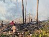 BPBD Sulbar Imbau Waspada Asap di Mamuju Kategori Sedang Hingga Tidak Sehat – Diduga Ada Asap Kiriman Karhutla Kalimantan