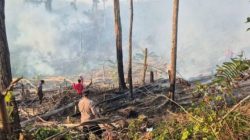 BPBD Sulbar Imbau Waspada Asap di Mamuju Kategori Sedang Hingga Tidak Sehat – Diduga Ada Asap Kiriman Karhutla Kalimantan