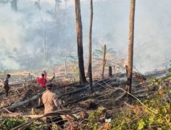 BPBD Sulbar Imbau Waspada Asap di Mamuju Kategori Sedang Hingga Tidak Sehat – Diduga Ada Asap Kiriman Karhutla Kalimantan