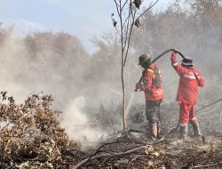 Asap Tebal di Mamuju Tengah, BPBD Sulbar Imbau Warga Tetap Waspada, Kurangi Aktivitas Luar