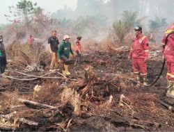 Hari Kedua Penanganan Karhutla di Tommo, TRC BPBD Sulbar dan Tim Gabungan Terus Lakukan Pengendalian